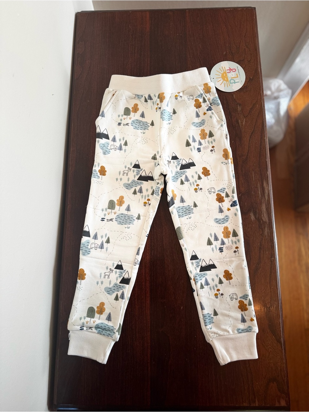 Kids Little Sleepies Play Joggers NWT